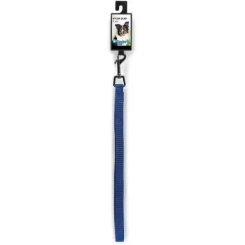 Blue 1×72 Nylon Lead